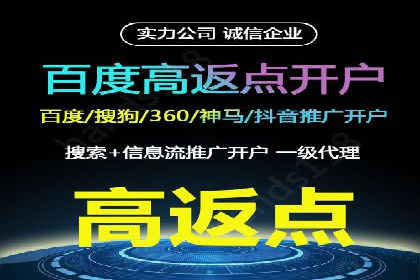 信息流广告的精准定位与效果优化案例分析